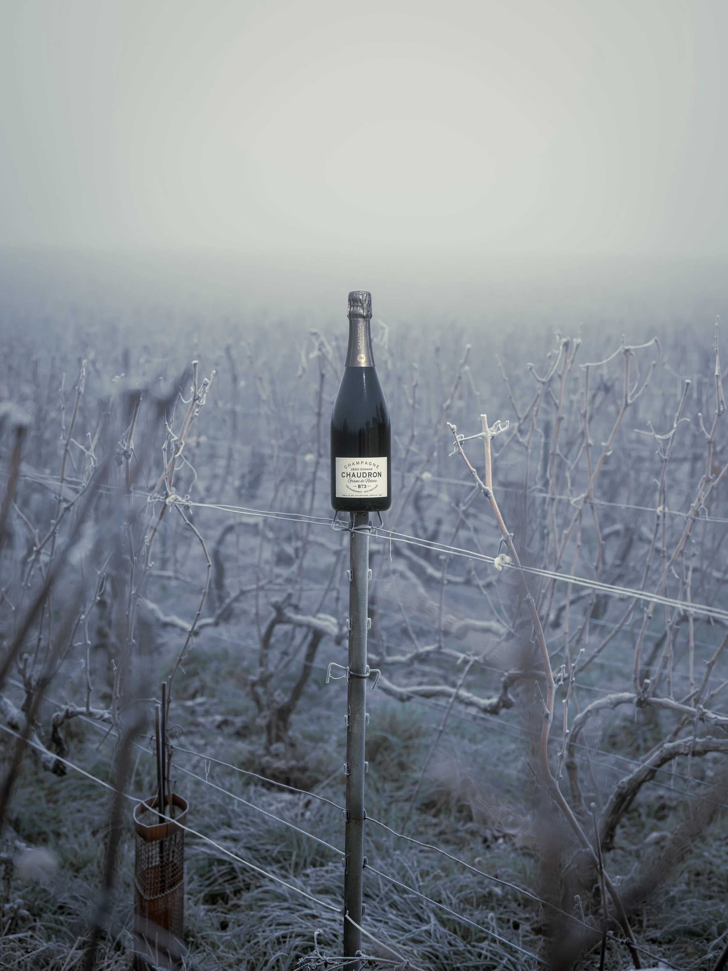 Une bouteille de champagne posée sur un piquet dans un champ de vignes recouvert de givre. Photo prise par Théo WALLYN, TheWallPhoto.
