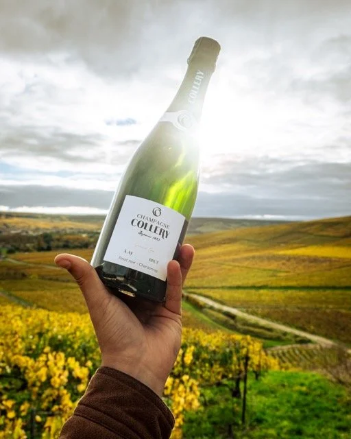 DSCF5515 Moyenne.jpeg