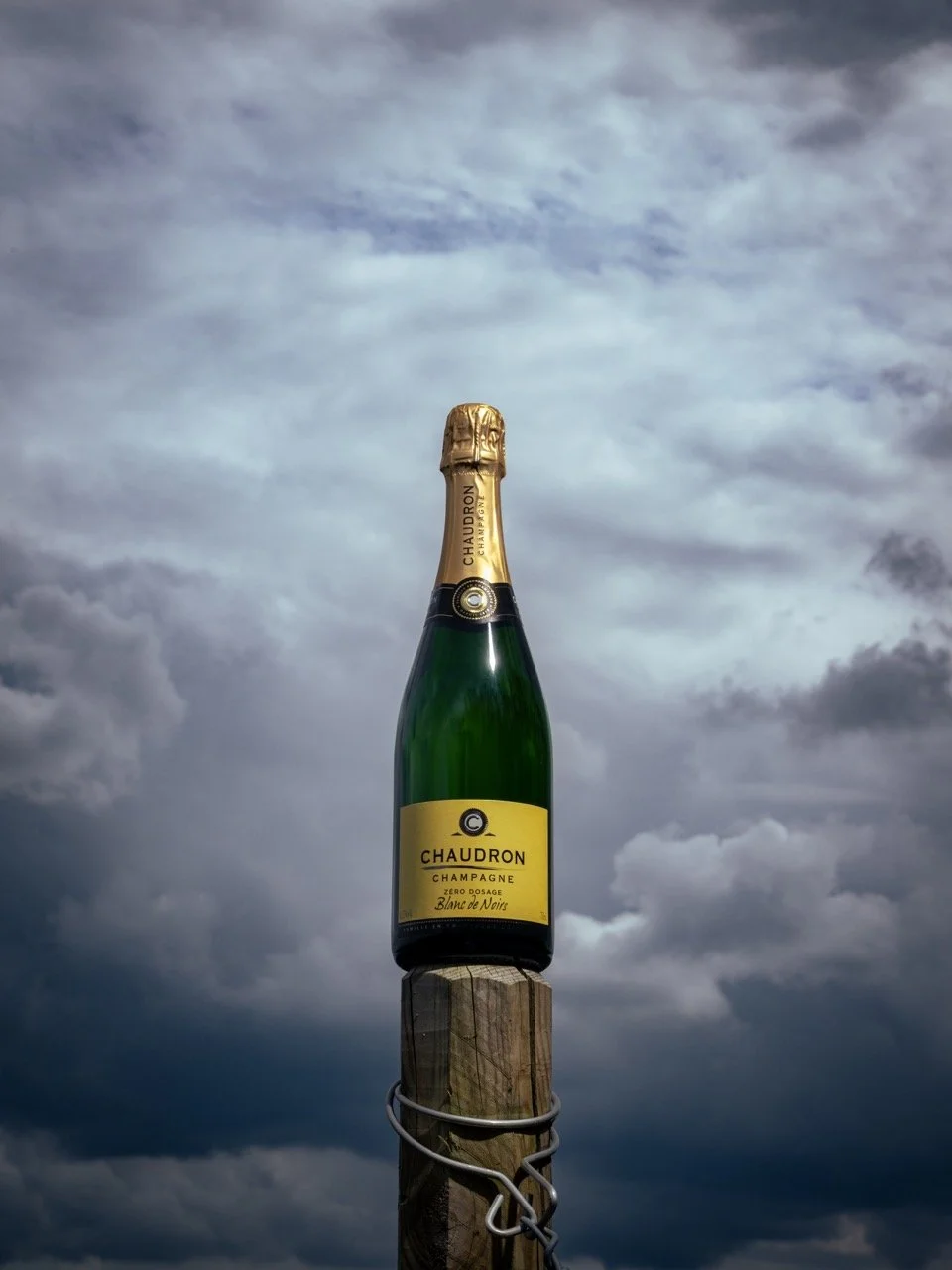 DSC_2706 - Grande.jpeg