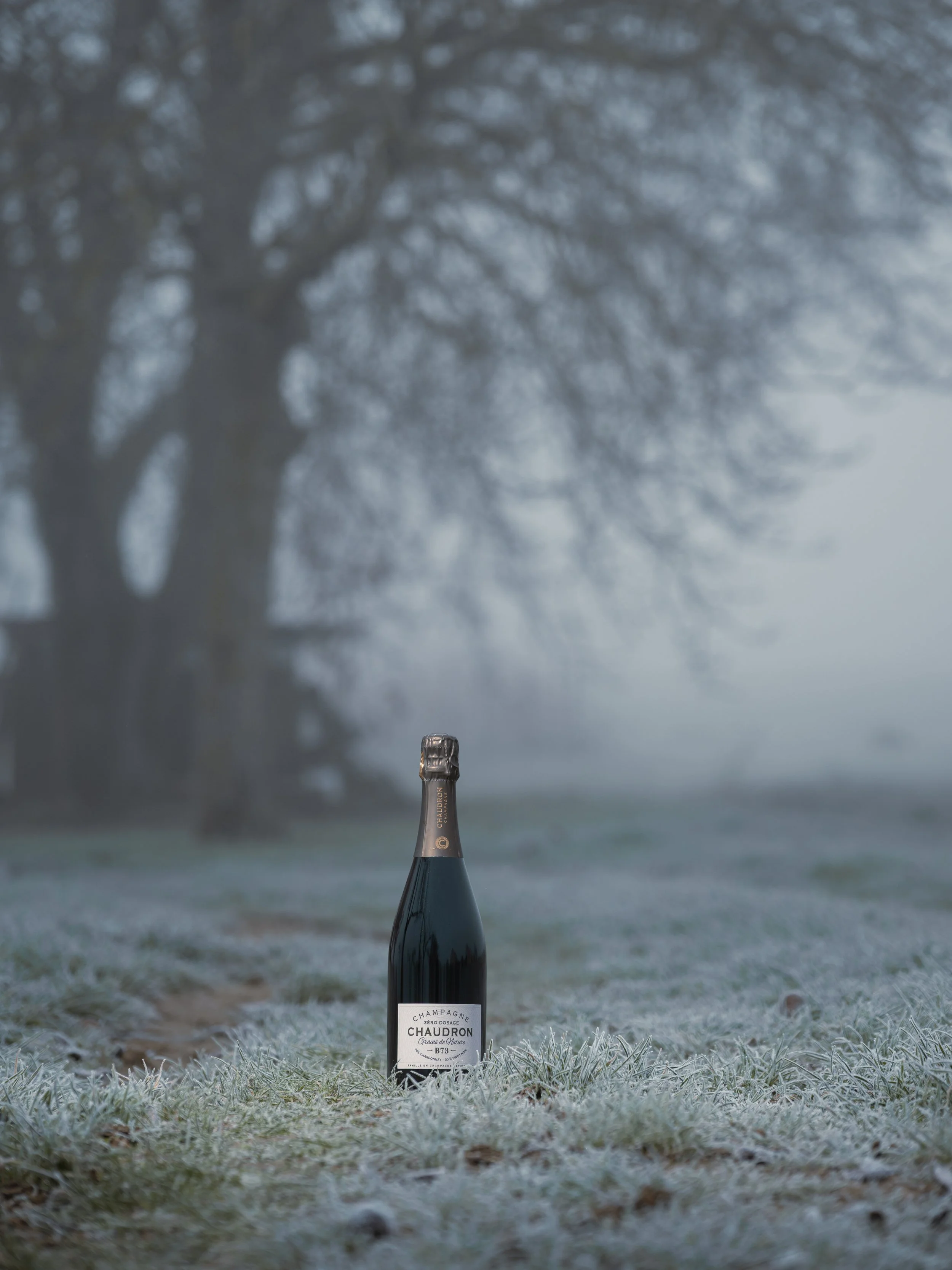 Une bouteille de champagne posée sur de l'herbe givrée avec un arbre en arrière-plan, dans un paysage brumeux. Photo prise par Théo WALLYN, TheWallPhoto.