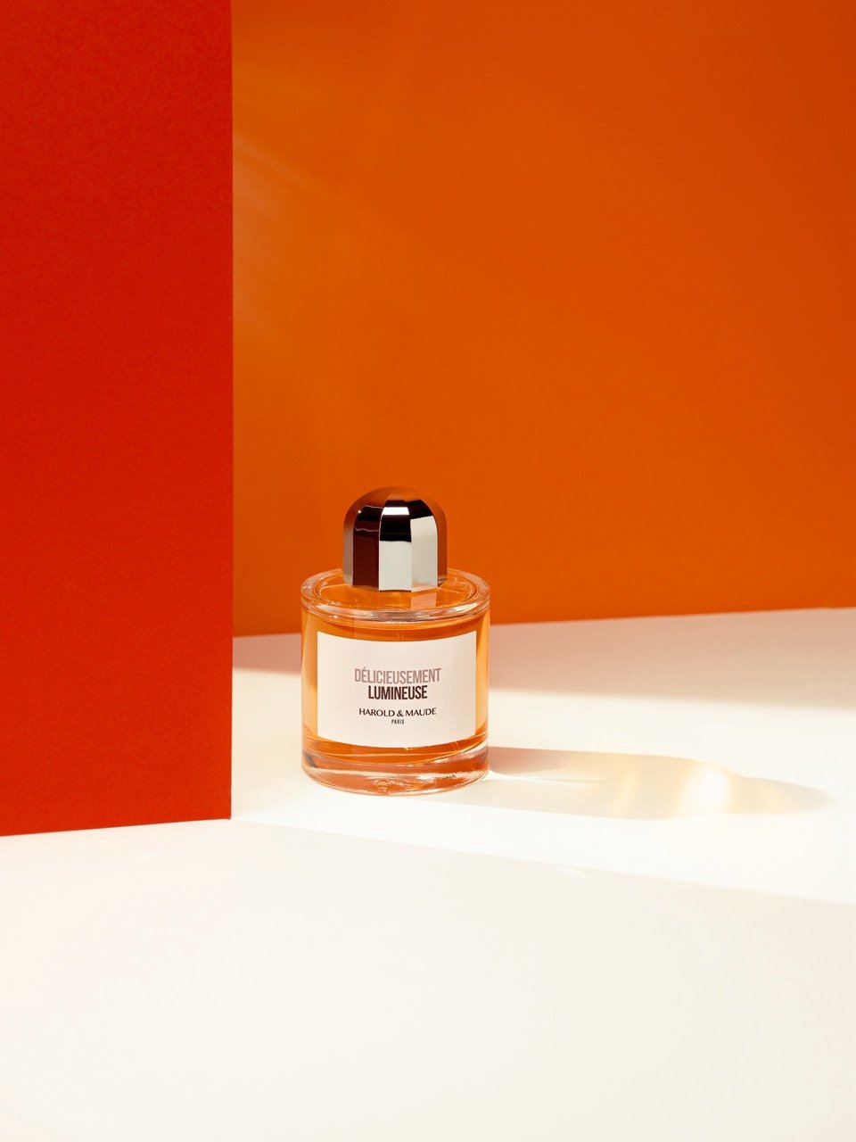 DSC_2566 - Grande.jpeg