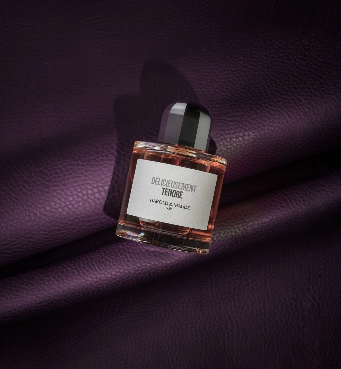 DSC_6401-Modifier - Grande.jpeg