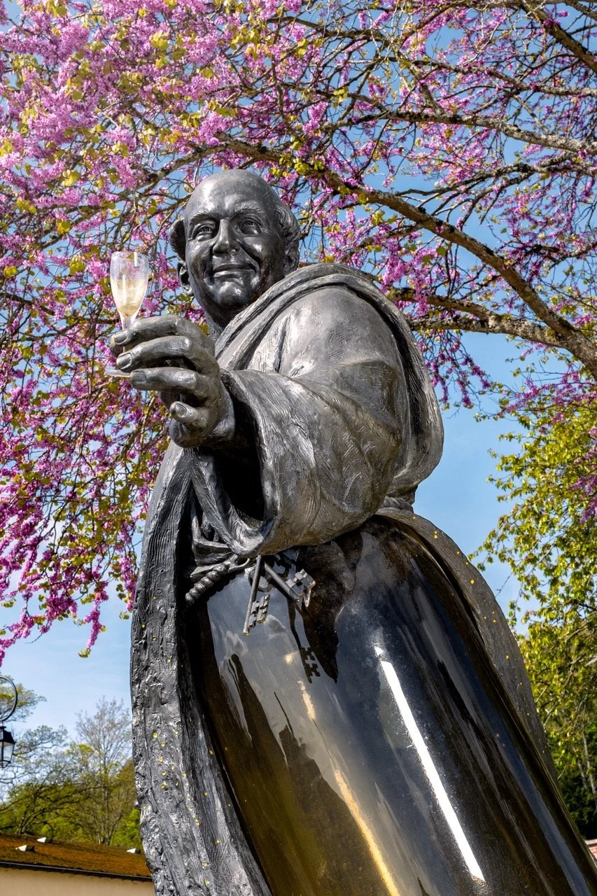 DSC_2556-Modifier - Grande.jpeg