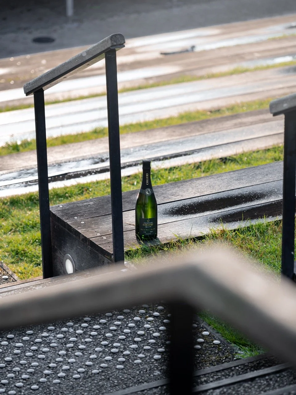 DSC_9518 - Grande.jpeg