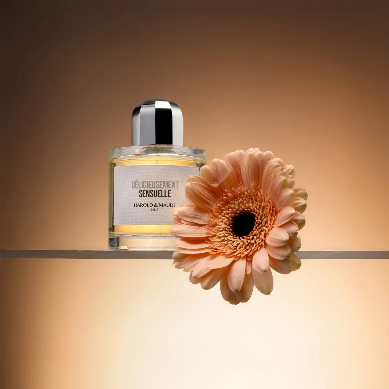 DSC_4805-Modifier-Modifier - Grande.jpeg