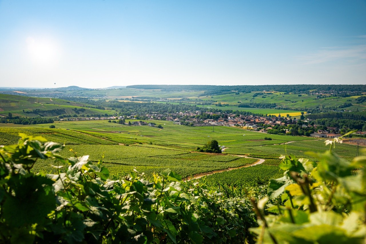 Paysage de vignobles de champagne, avec un village au centre et des collines en arrière-plan, sous un ciel clair et ensoleillé.