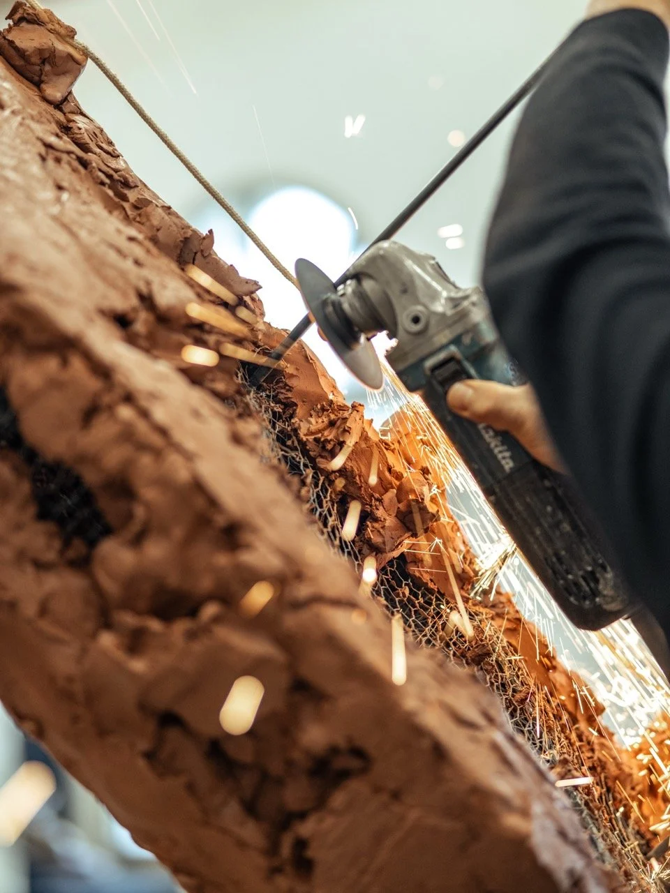 DSC_3877 - Grande.jpeg