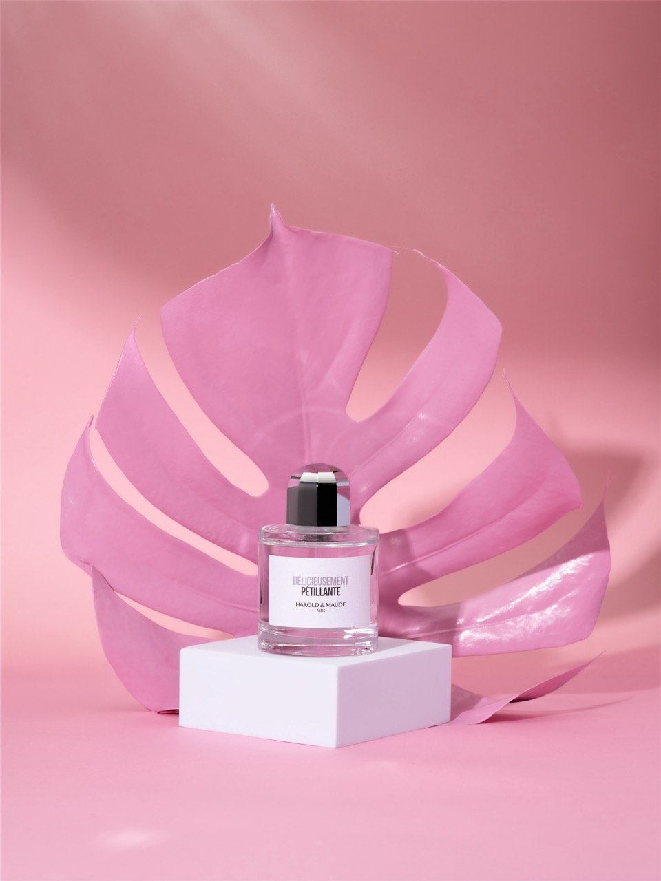 DSC_8369 - Grande.jpeg