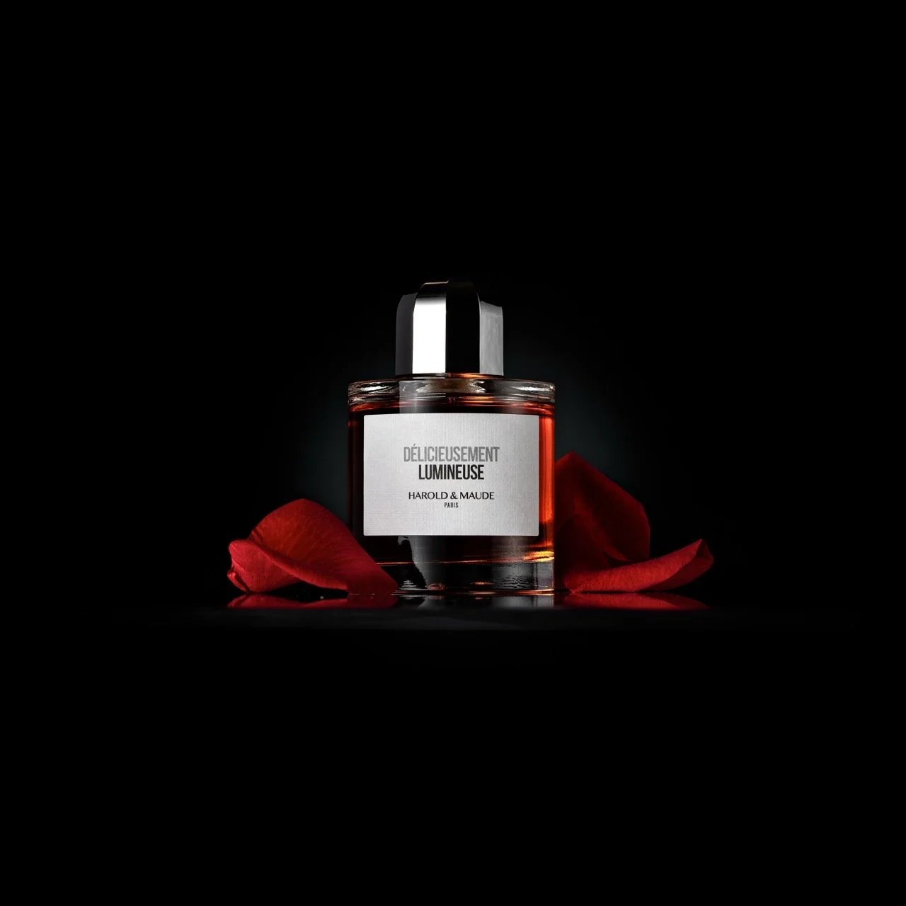 DSC_6124-Modifier - Grande.jpeg