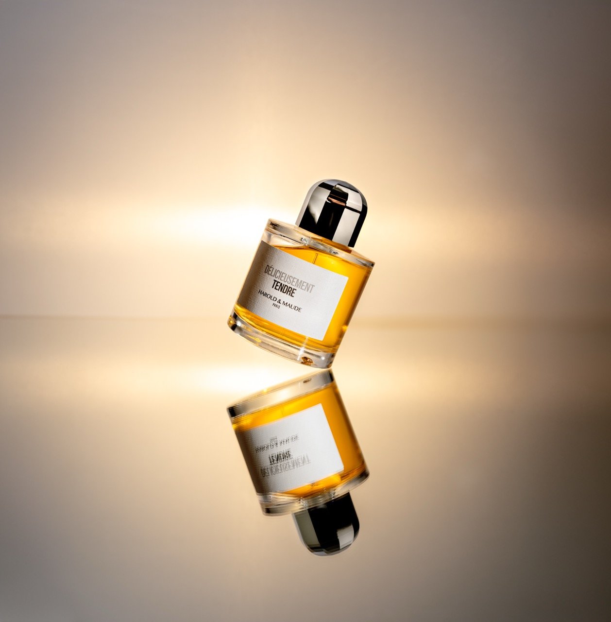 DSC_0512-Modifier - Grande.jpeg