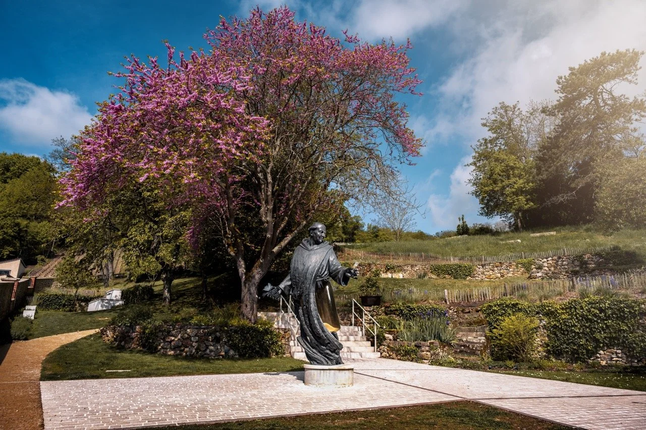 DSC_2549-Modifier - Grande.jpeg