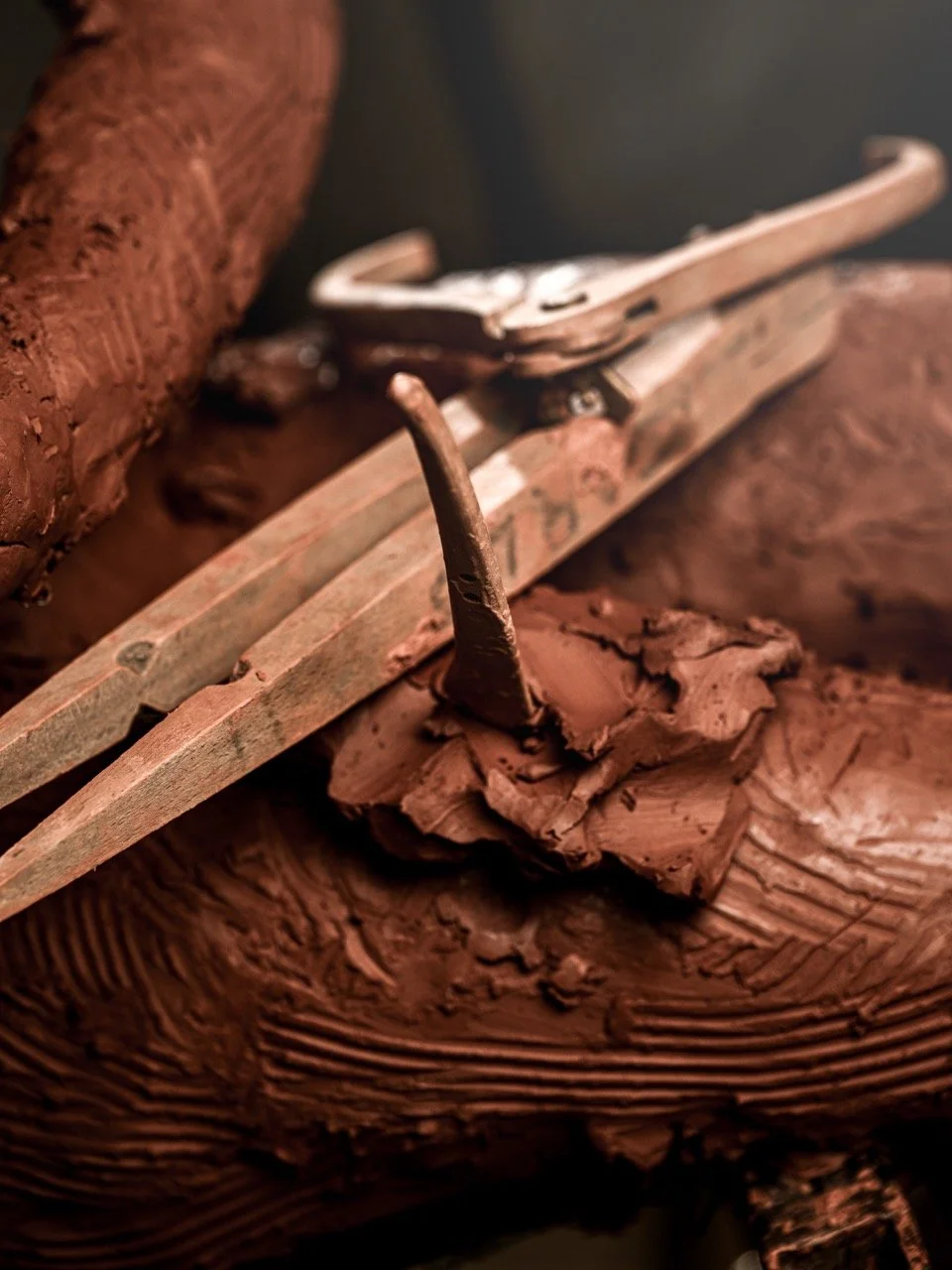 DSC_7897 - Grande.jpeg