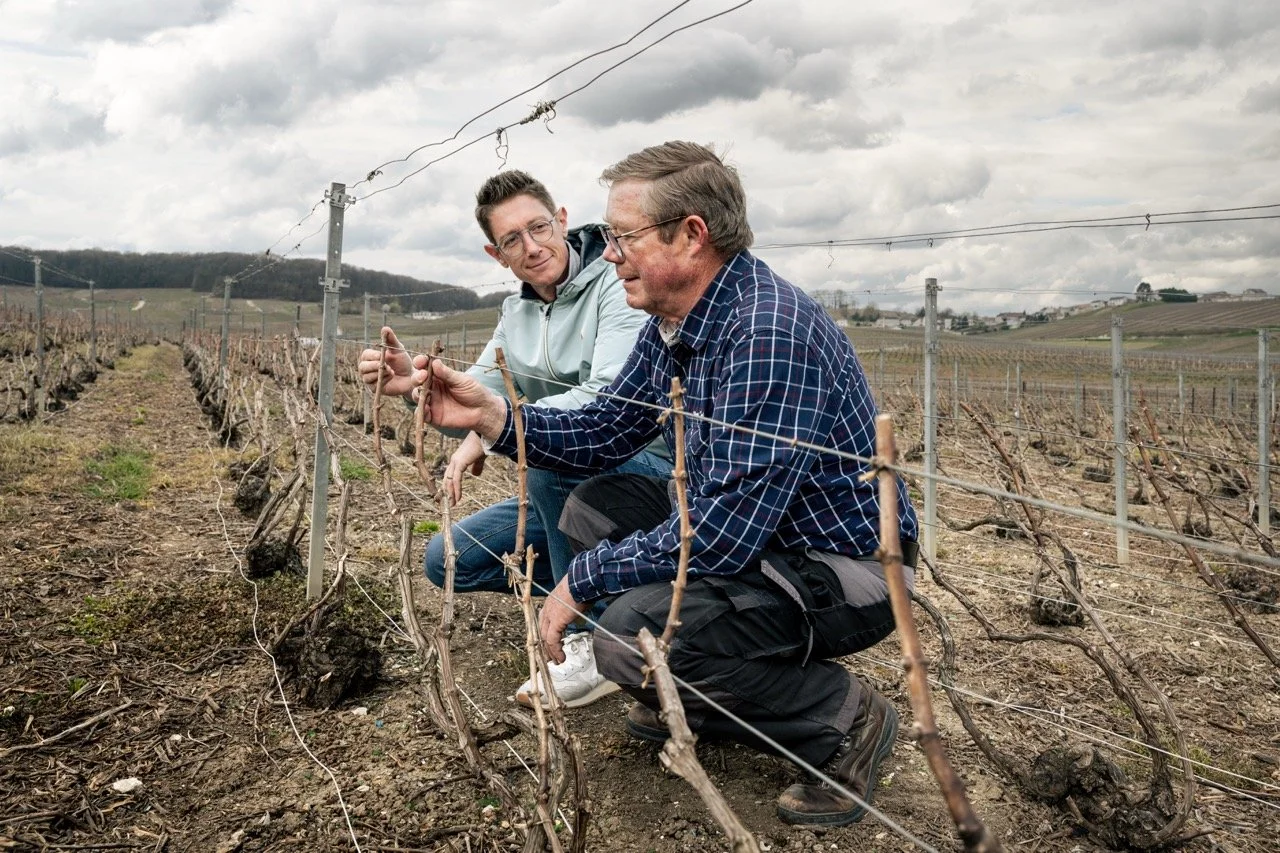 Deux hommes en train d'inspecter des vignes dans un vignoble de champagne sous un ciel nuageux. Photo prise par Théo WALLYN, TheWallPhoto.