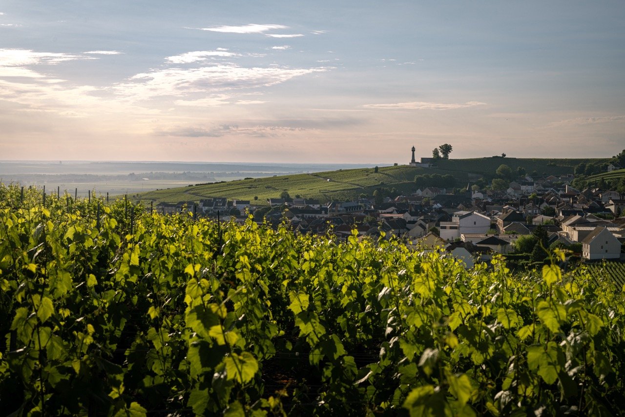 DSC_3097 - Grande.jpeg