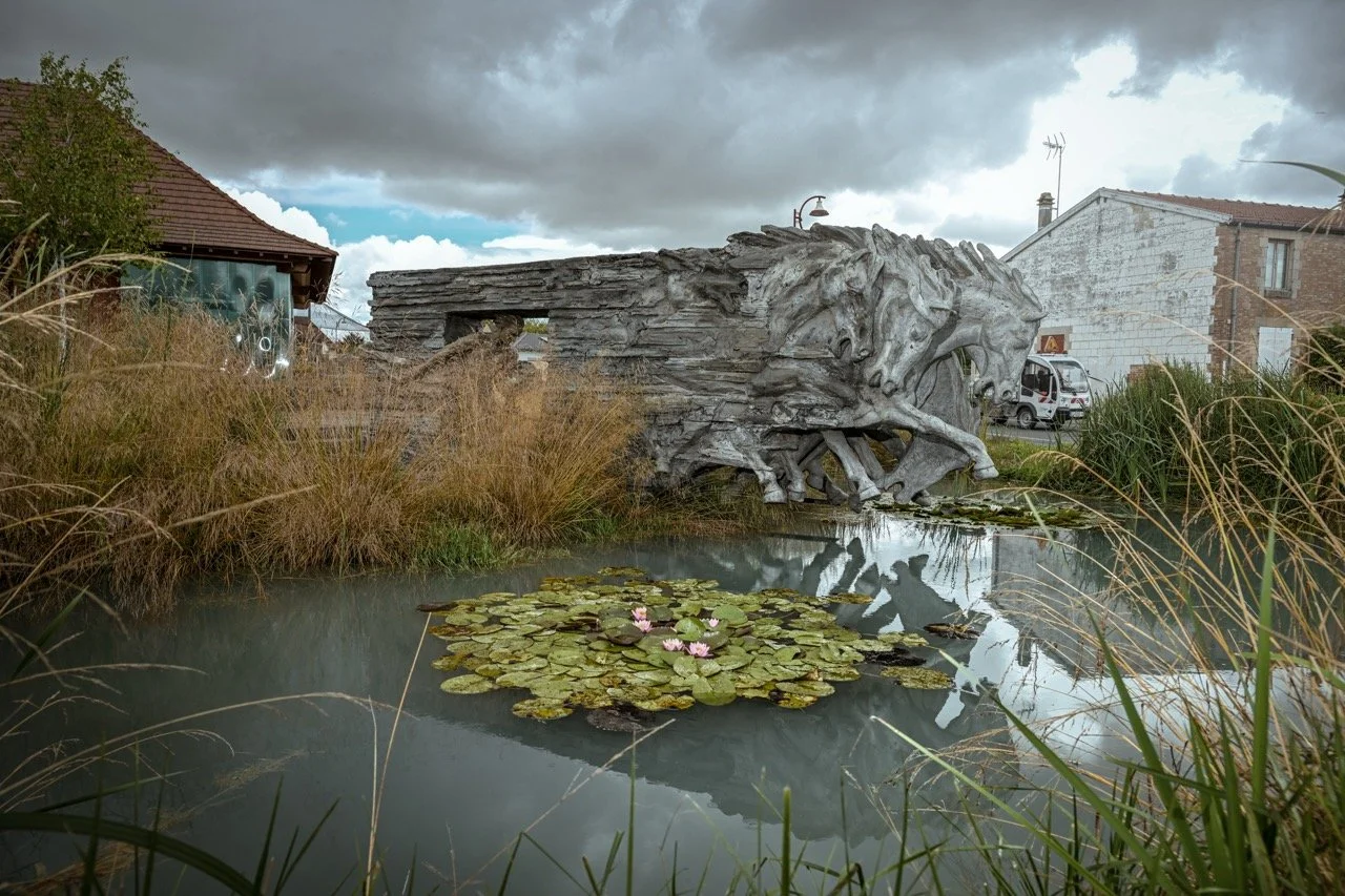 DSC_8199 - Grande.jpeg