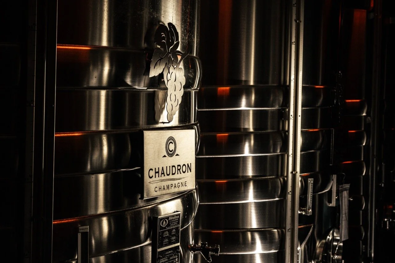 DSC_7435 - Grande.jpeg