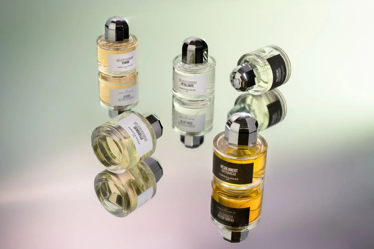 DSC_8810-Modifier - Grande.jpeg