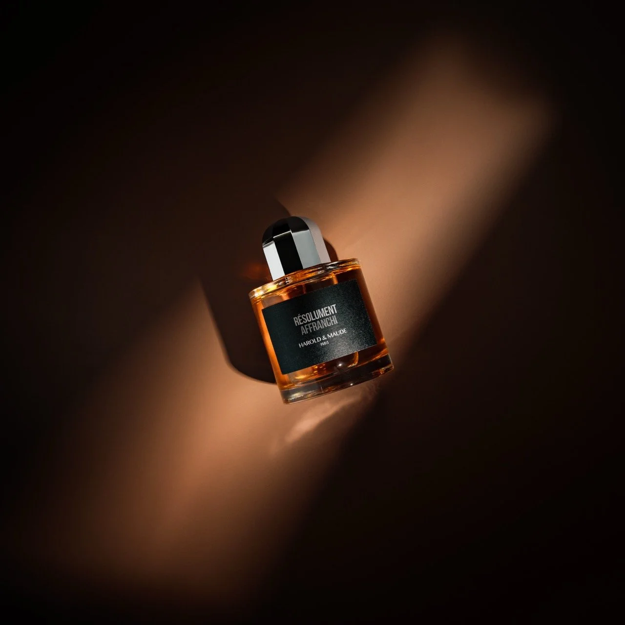 DSC_1578-Modifier - Grande.jpeg