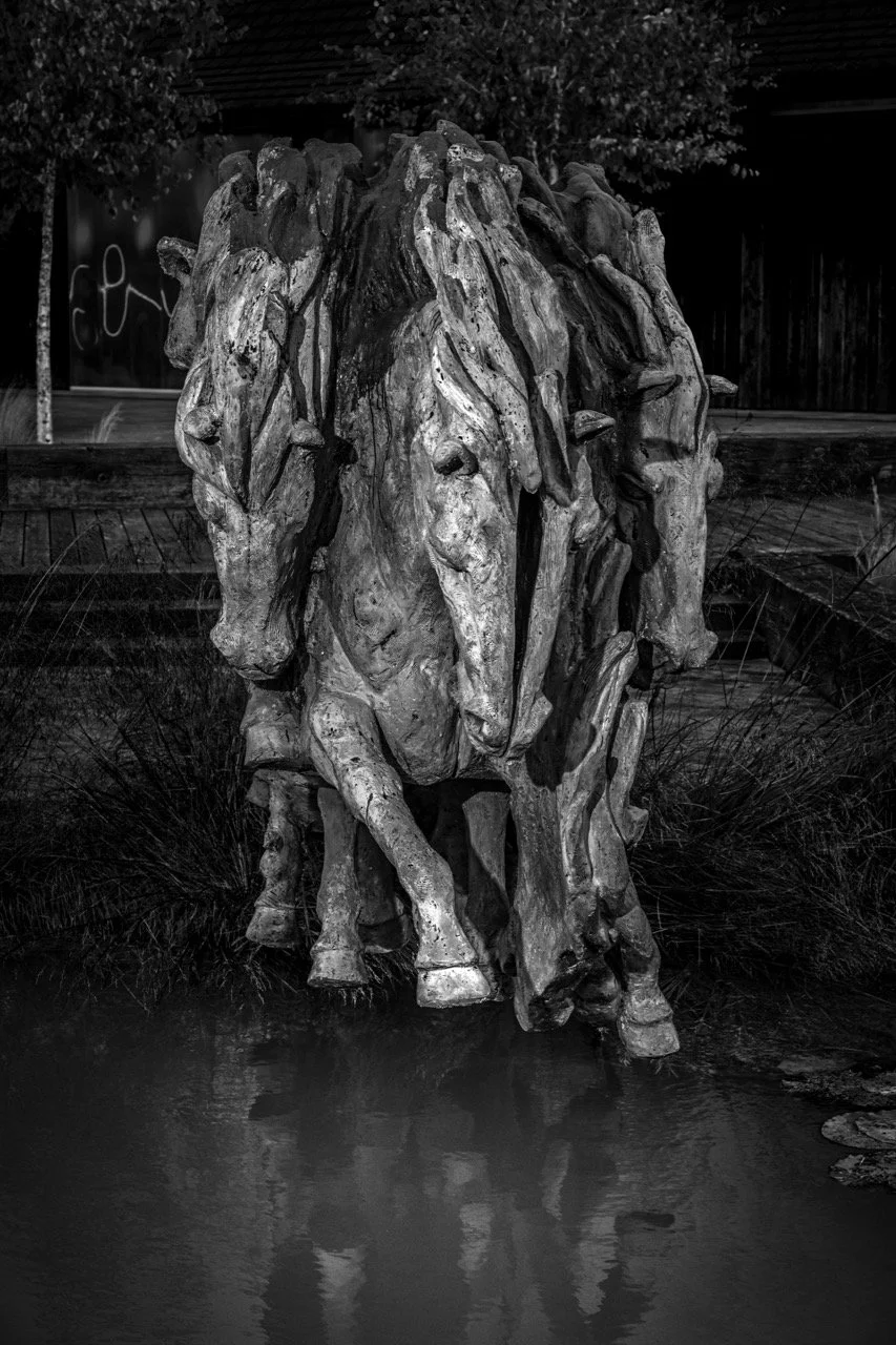 DSC_8178 - Grande.jpeg