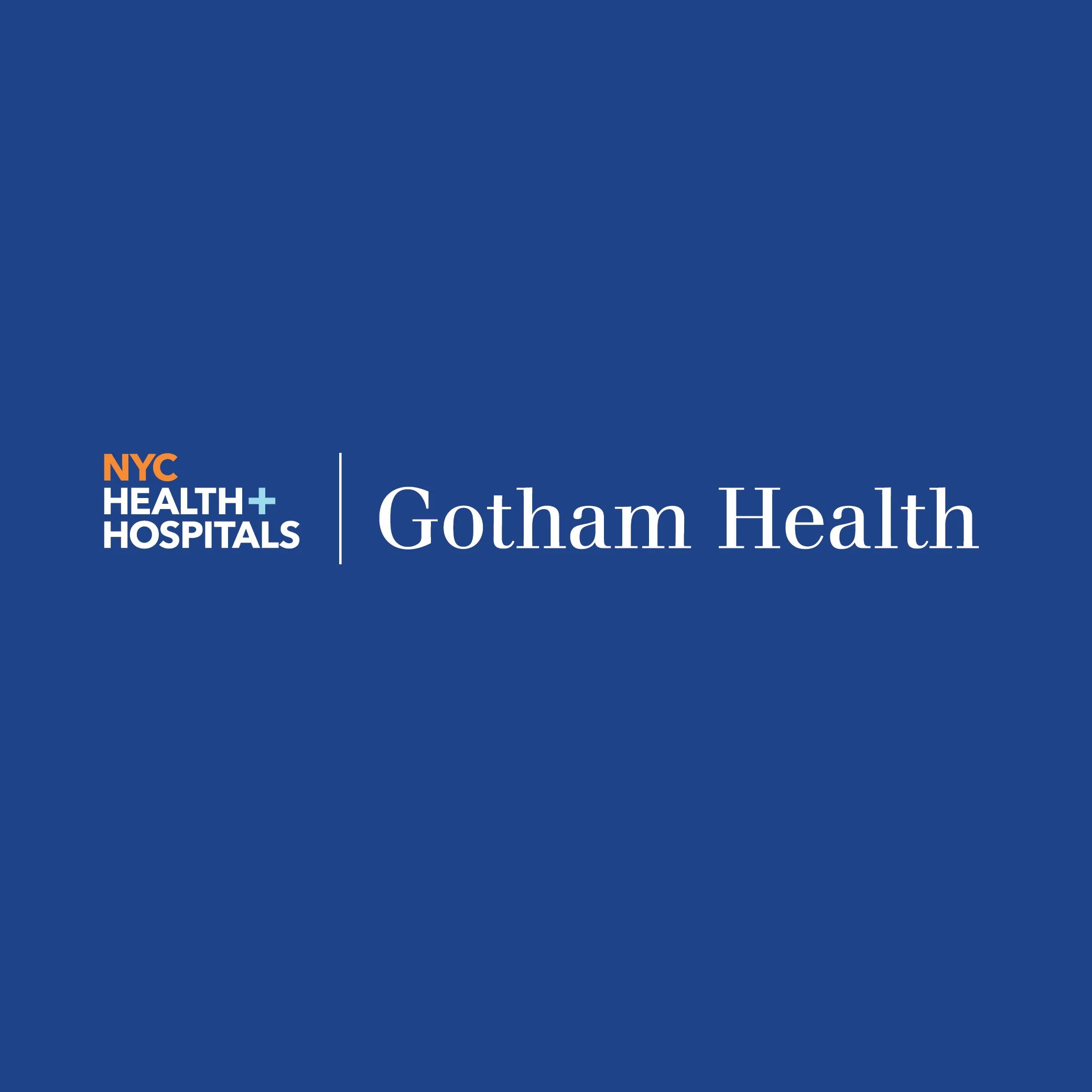 NYC Health + Hospitals, Gotham Health, Public Healthcare, Public Relations, Social Media Director