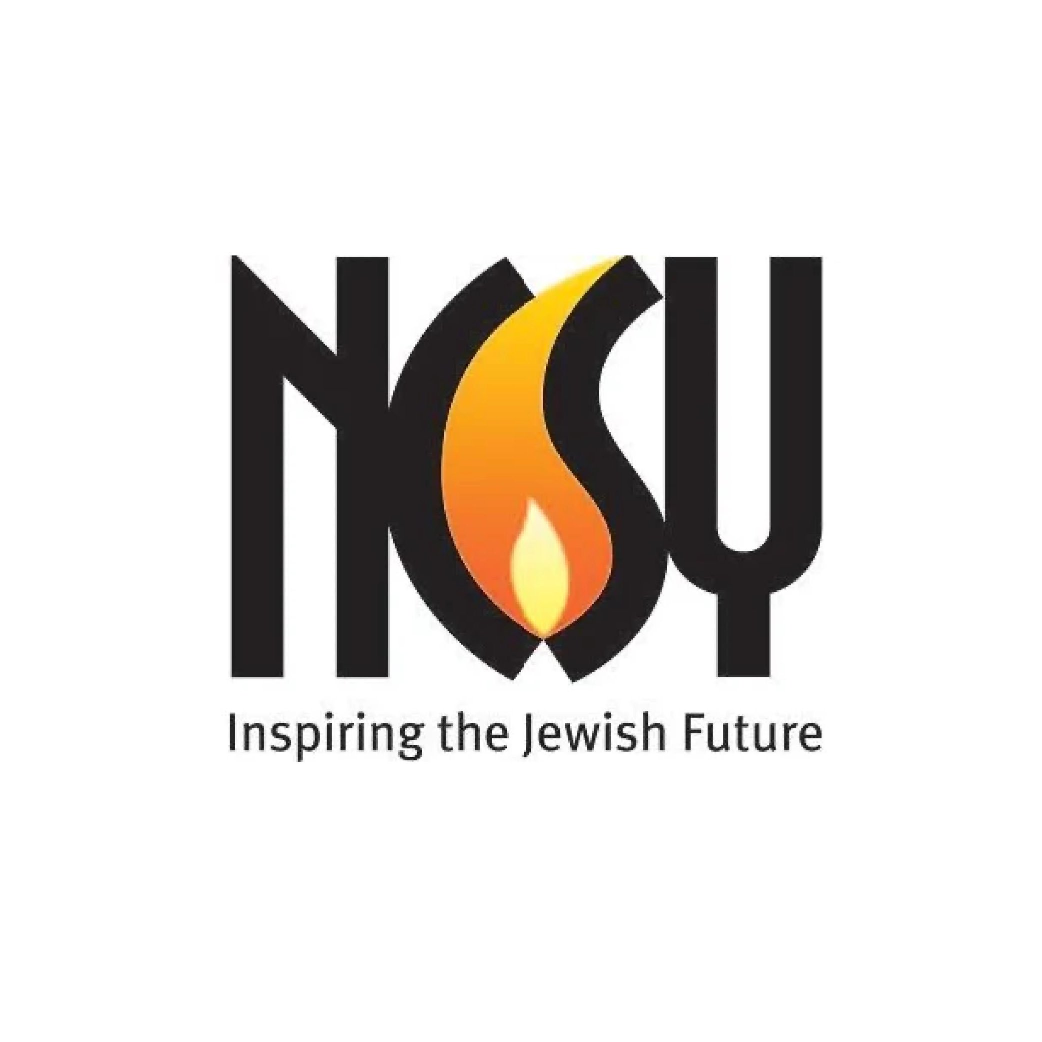 NCSY, NCSY Summer, Jewish Teens Programming