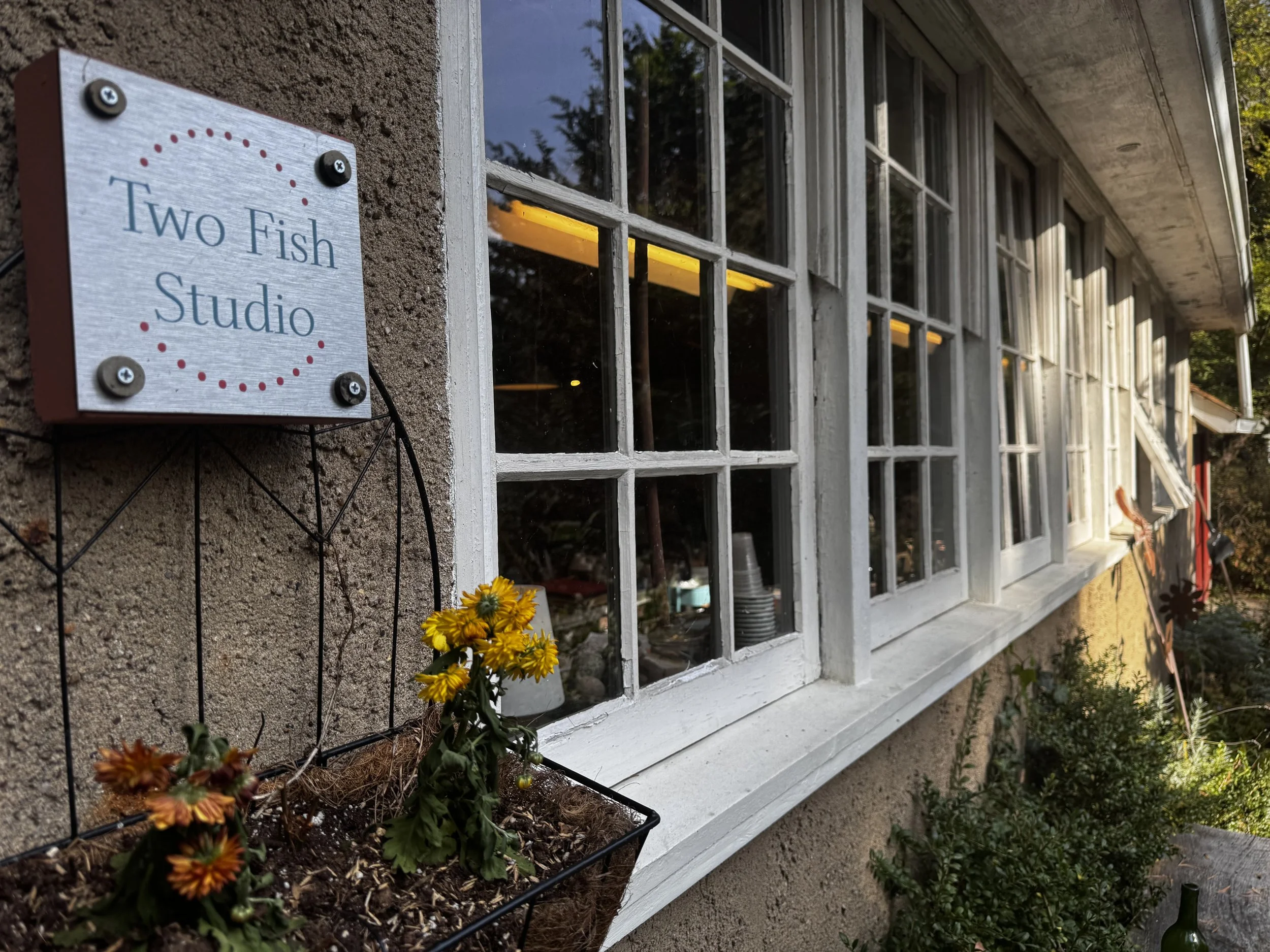 Two Fish Studio