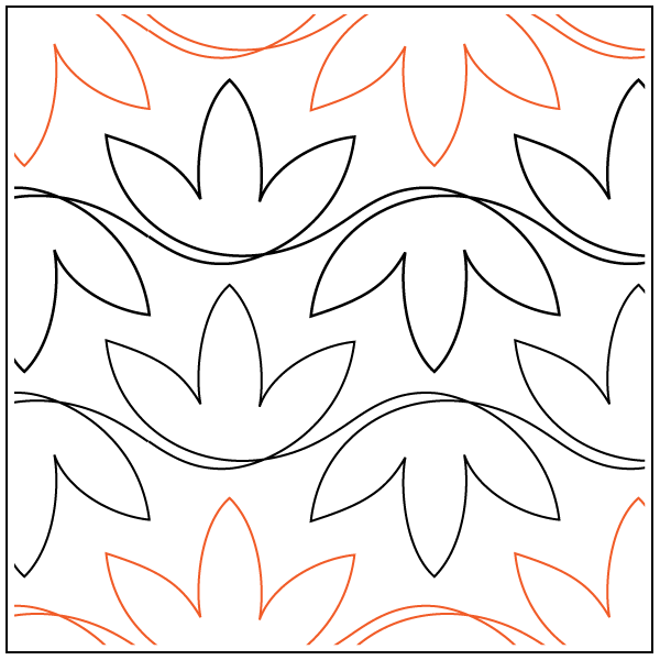 Crocus