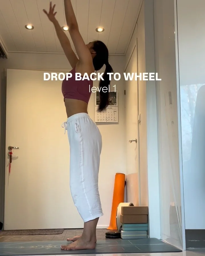 drop back to wheel 🌸🤍

back strengthening makes it so much more fun (and safer 😅)

strong back = more control, more stability, and more freedom in the pose ✨

what level are you in right now? 👀

#backbend #wheelpose #yogapractice