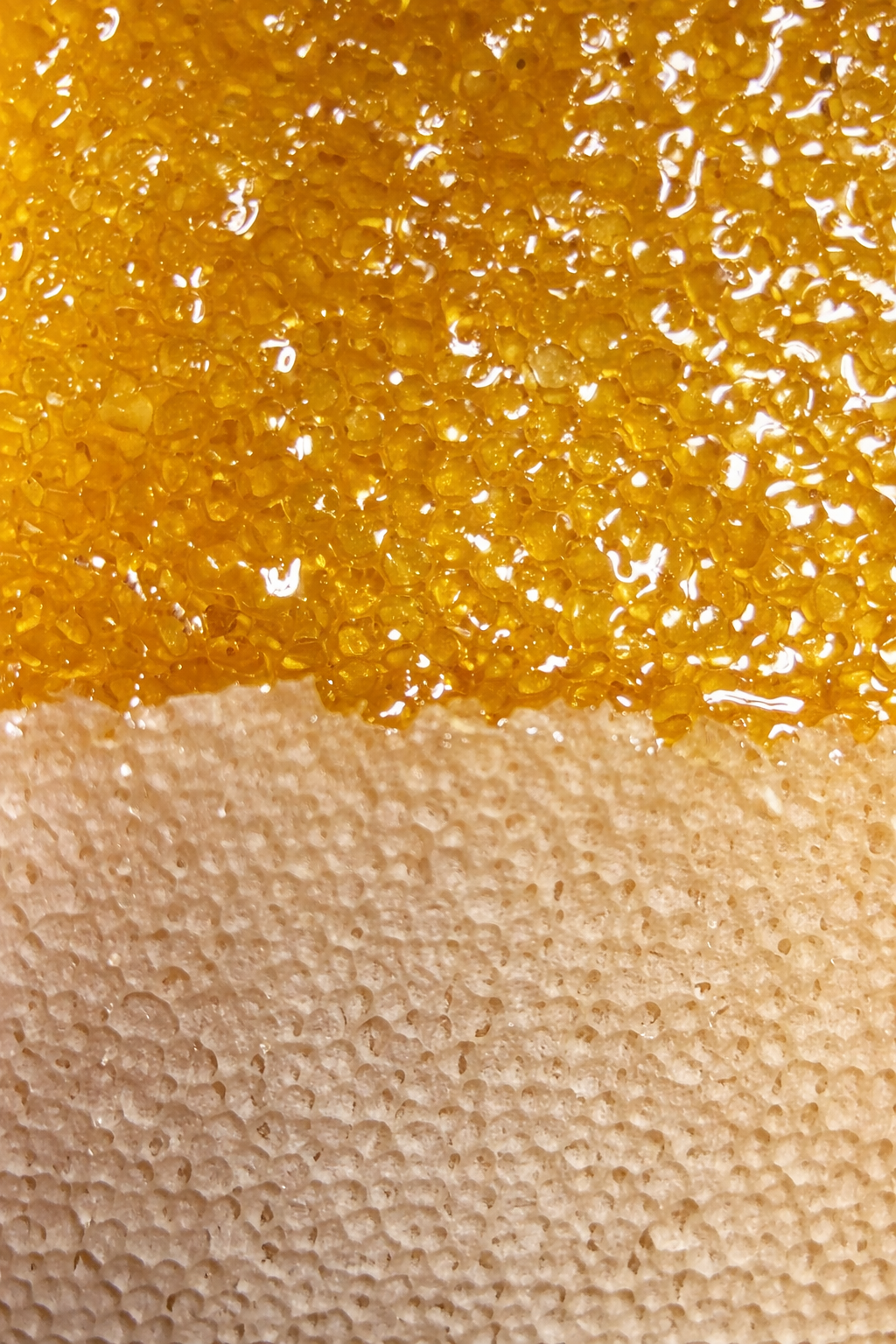 ChatGPT Image Feb 8, 2026, 01_16_44 PM.png