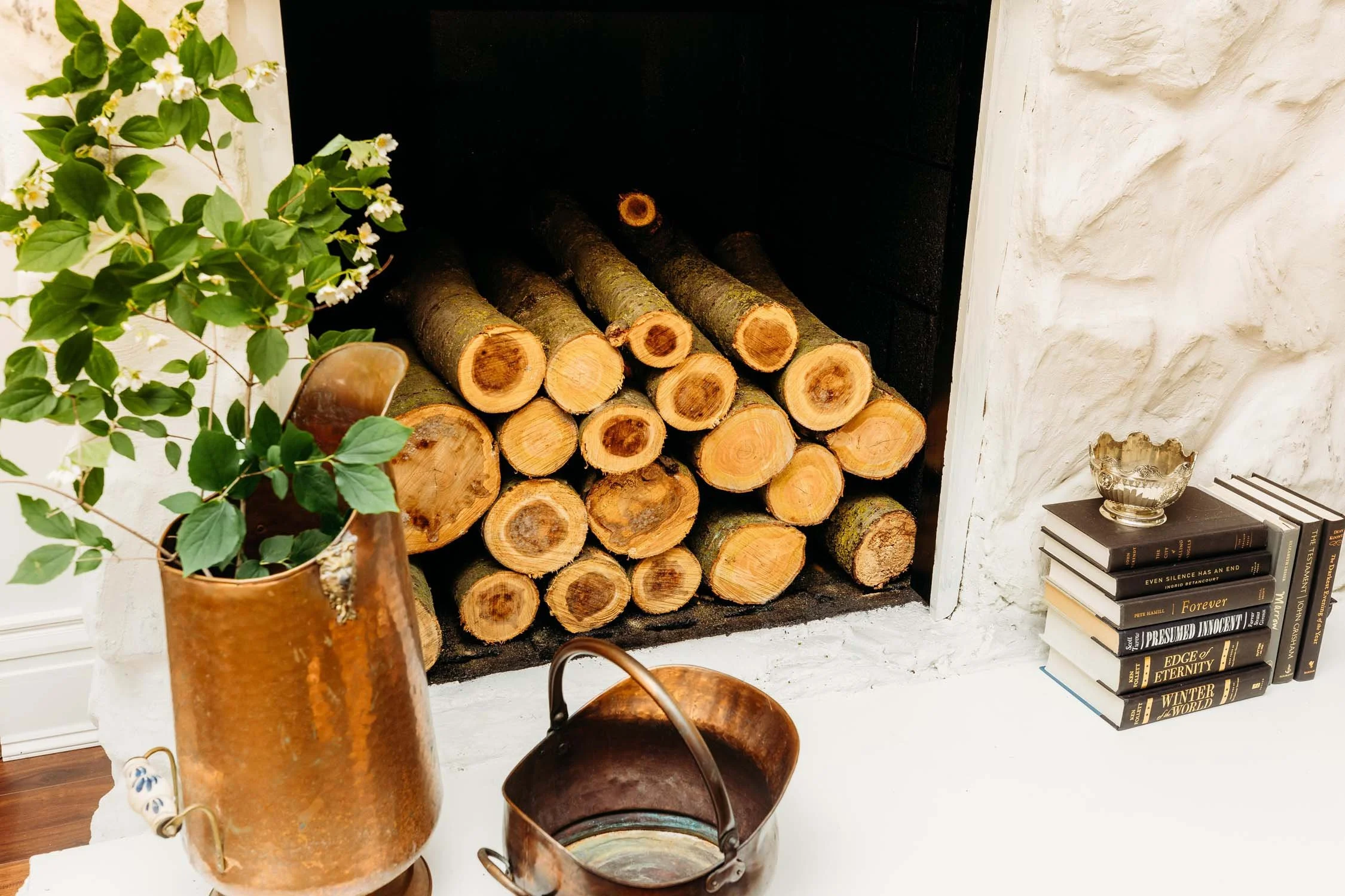 Stacked firewood logs inside a fireplace, with a copper vase containing green leafy plants on a white surface, and a small stack of books with a silver bowl on top to the right.