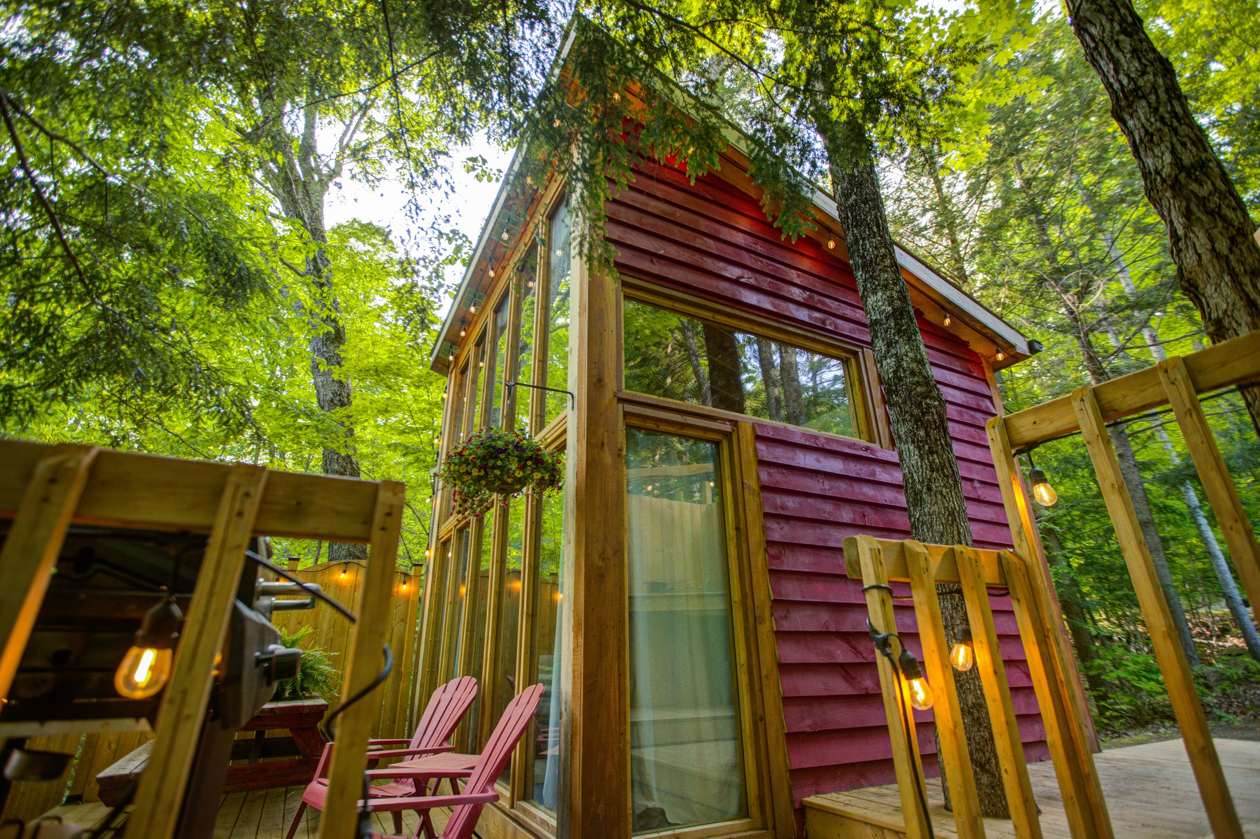 250602 Neurona Fotografica Bon Echo 16.jpg