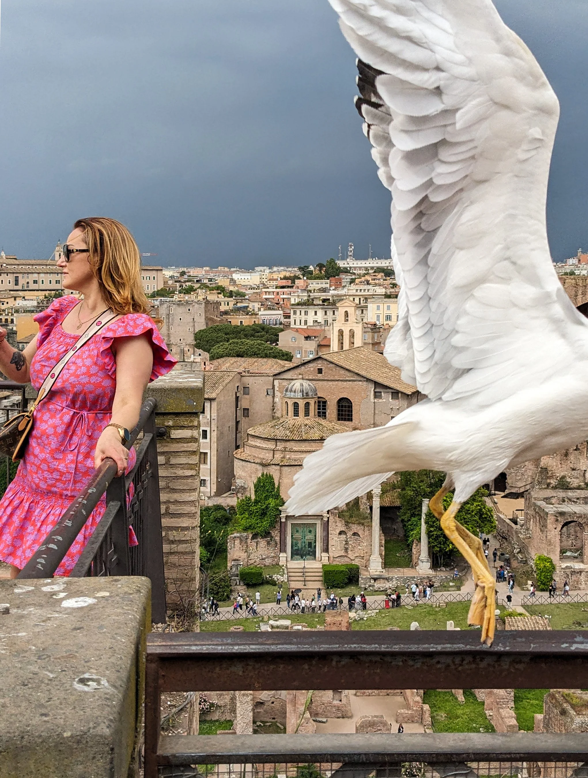 Skyline of a Rome neighborhood seen from a balcony. On the left, there is a middle-aged white woman with reddish-blond hair wearing a rose-colored sundress and sunglasses. On the right, a white seagull is in the middle of taking flight from a railing
