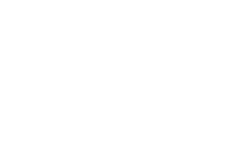 Ibis Agency