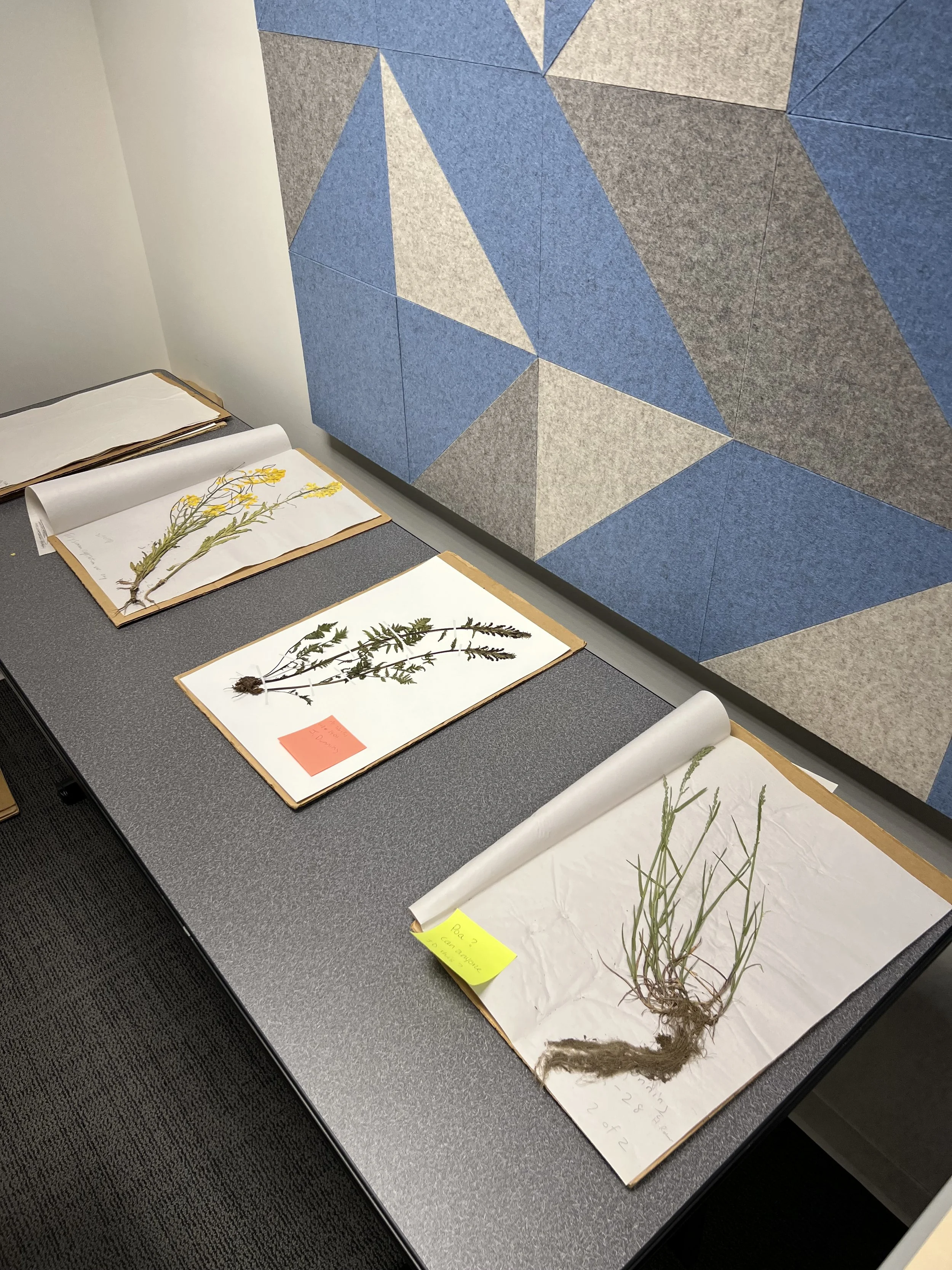 EcoLogic Monthly #76