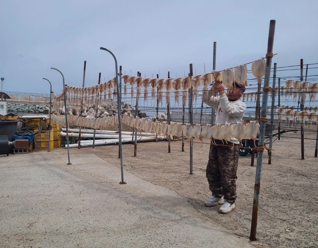 A man air-drying squid along the east coast of Korea.