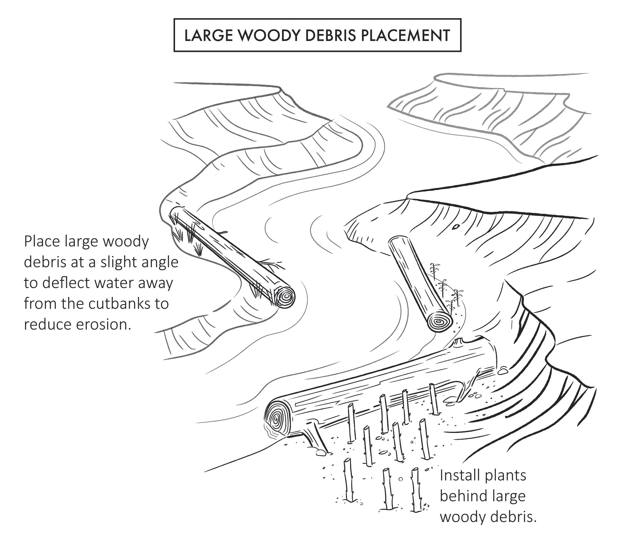 LWD_bank protection-01.jpg