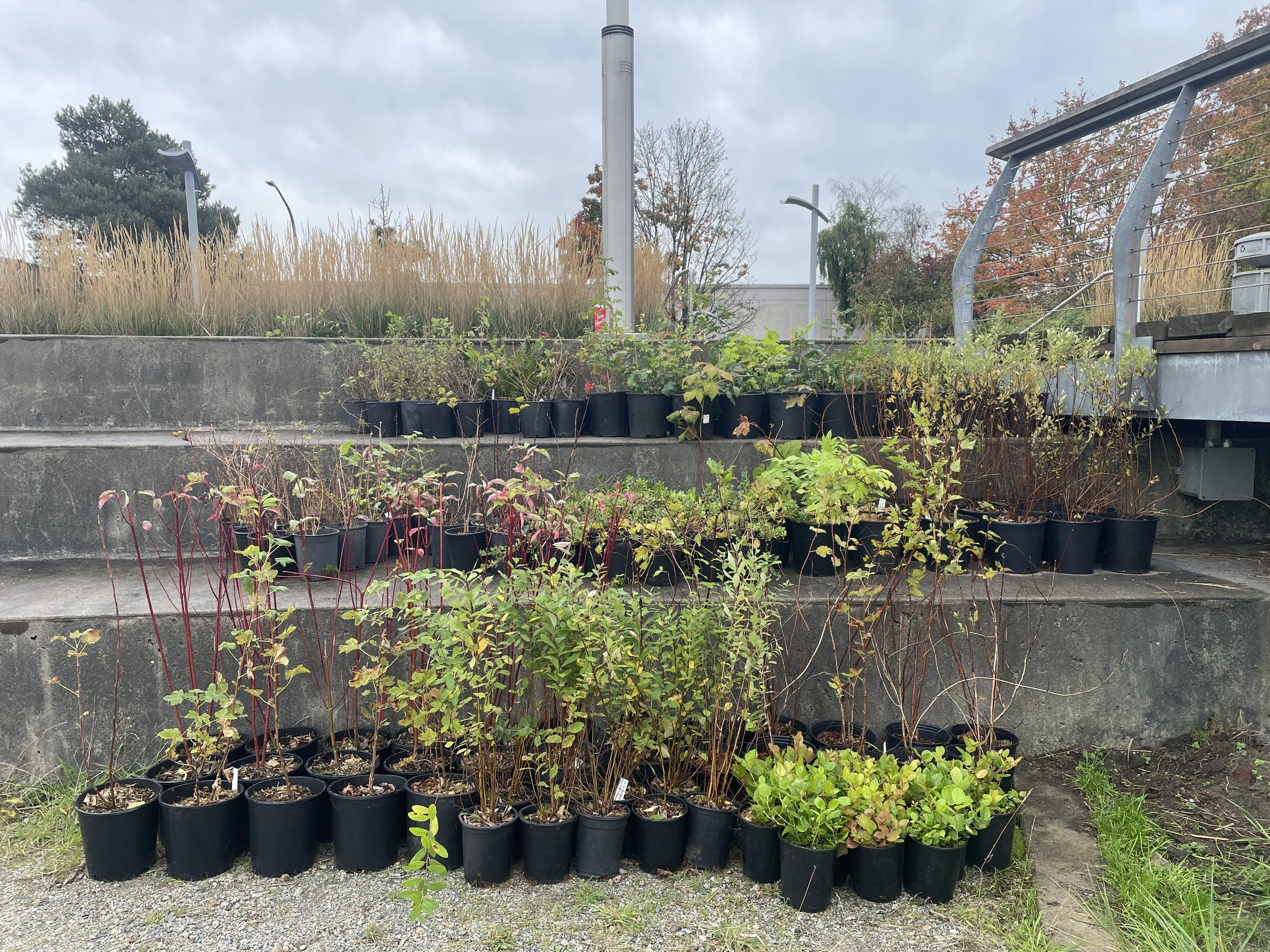 Restoration Reclamation and Climate Resilience-1.JPG