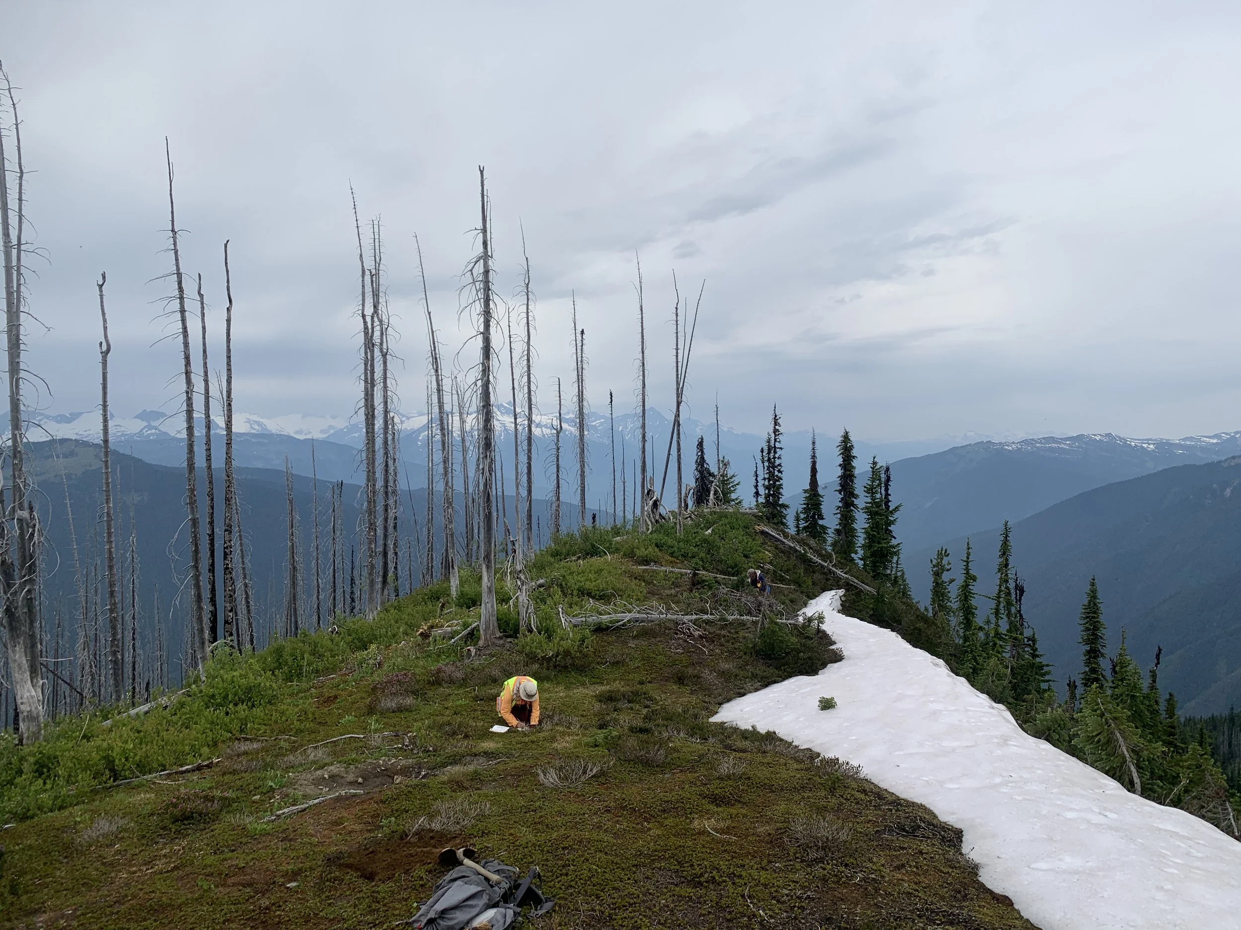 RD - Claudia ridge top.JPG