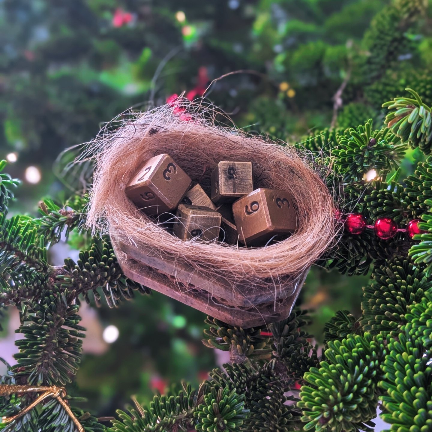 A bird's nest made of delicate fibers with six wooden dice inside, hanging on a lush green pine tree branch.