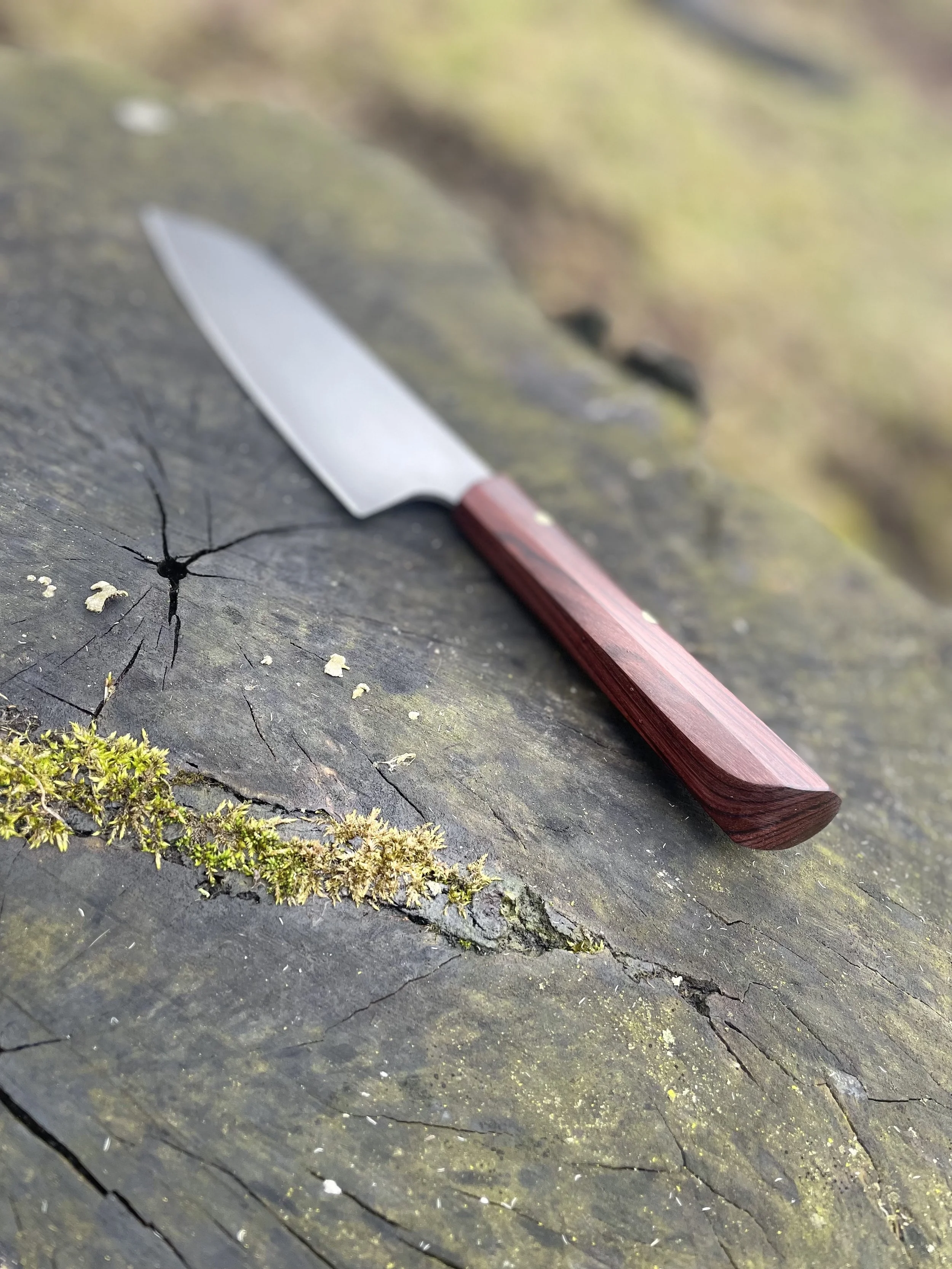 A kitchen knife with a stainless steel blade and a wooden handle resting on an outdoor wooden surface with moss and cracks.