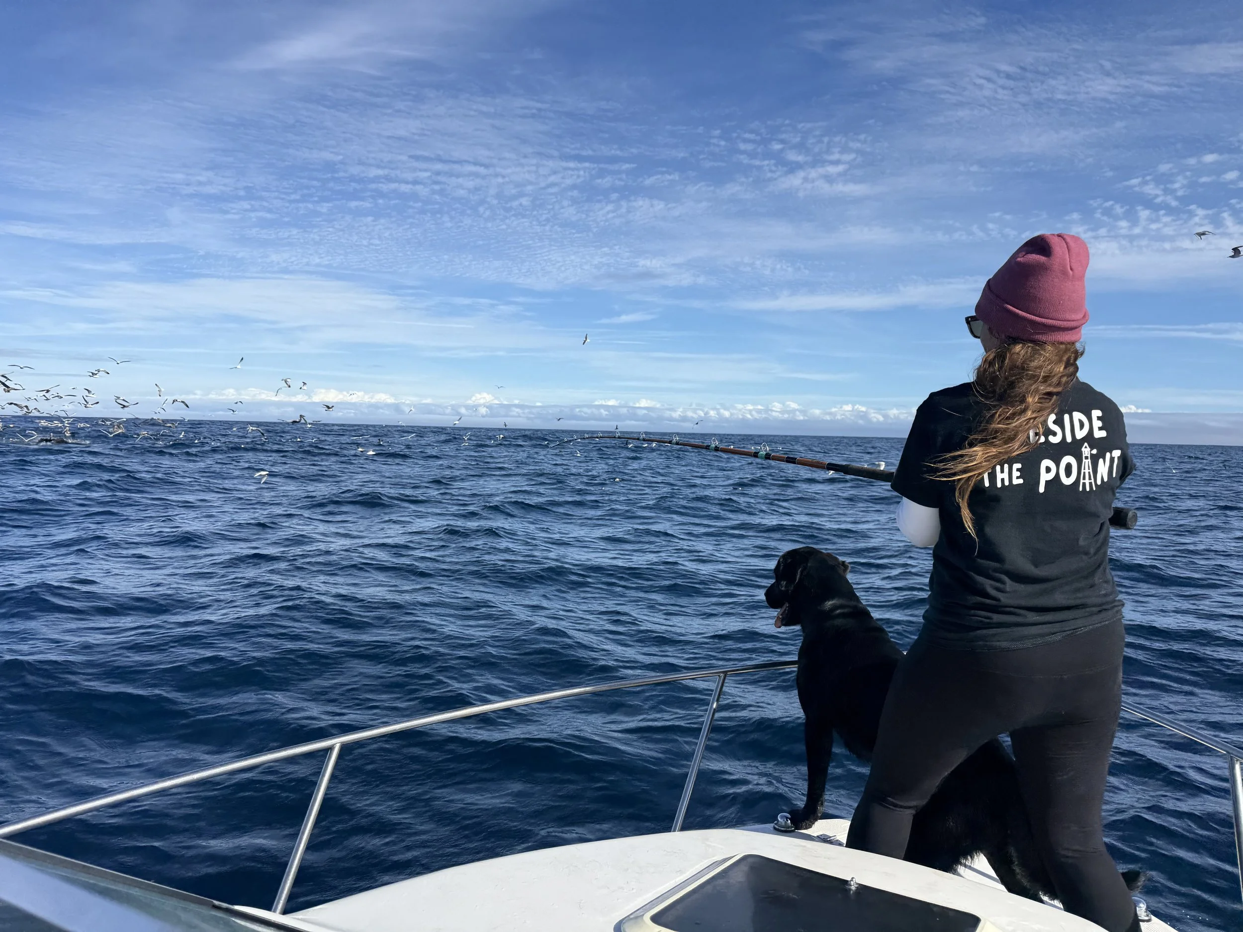 A woman wearing a pink beanie and black T-shirt with the words "Outside the Point" fishing off the side of a boat into the open ocean, with a black dog beside her. Seagulls fly in the sky above the water.