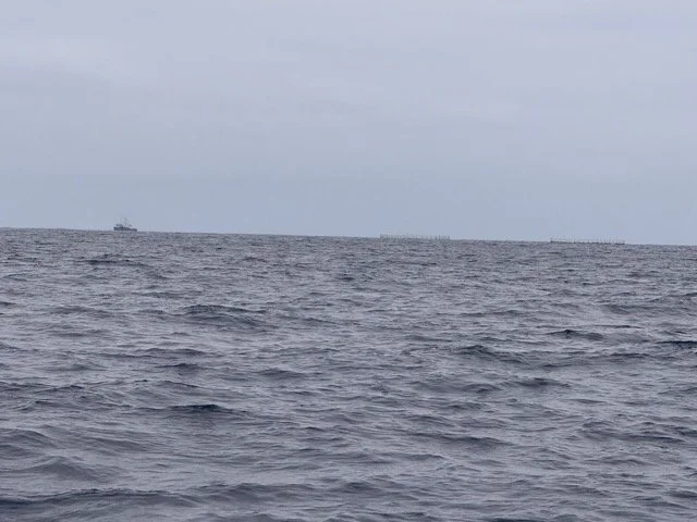 Tuna Pens Offshore.jpeg
