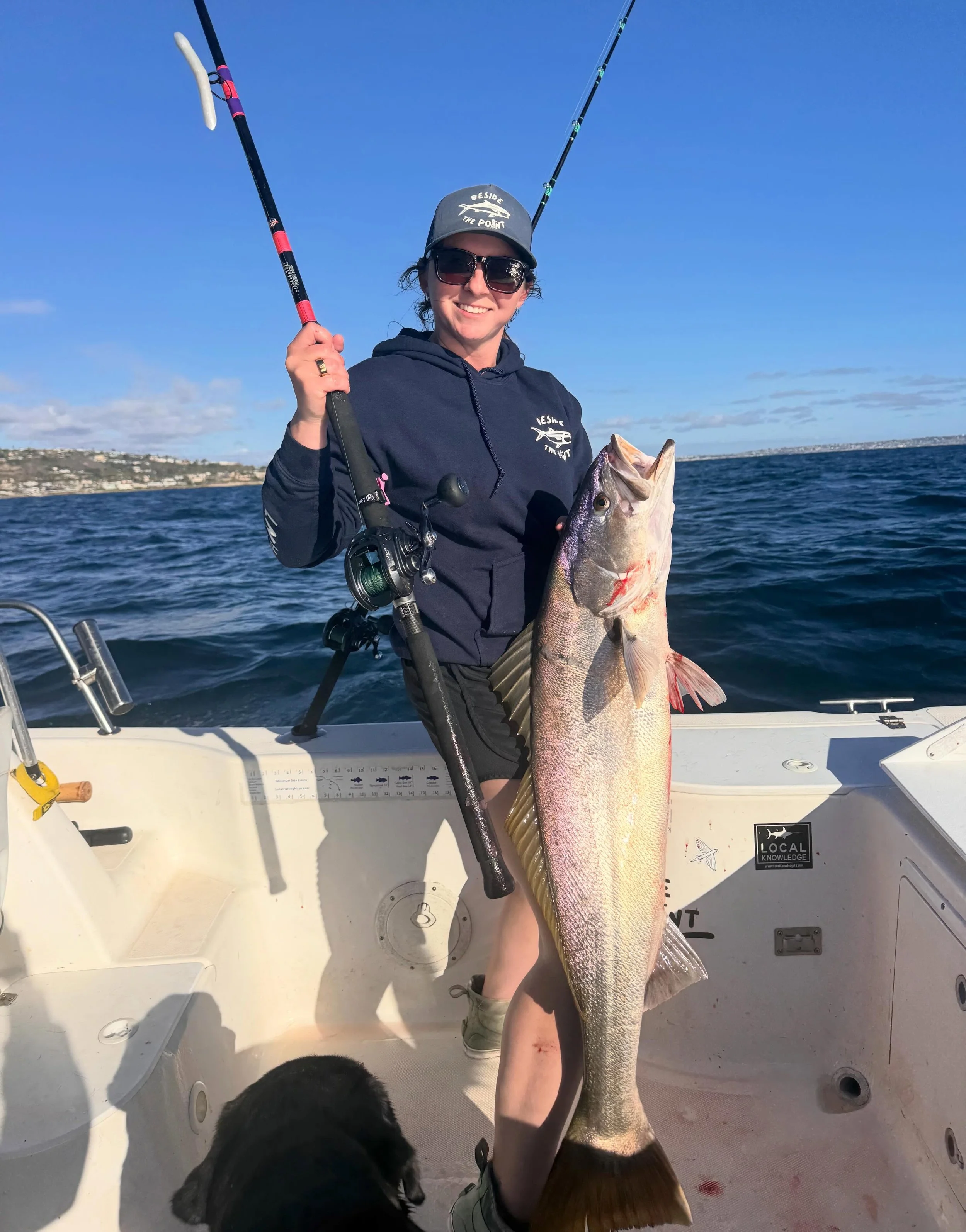 Another one bites the dust. Nothing beats fighting a fish on the jigstick. Thanks @squidco_fishing for staying stocked when the bite is hot and always having what we need. 🤙🏻 

@hookupbaits @seekerrods #squidco #sandiegofishing #whiteseabass #lajol