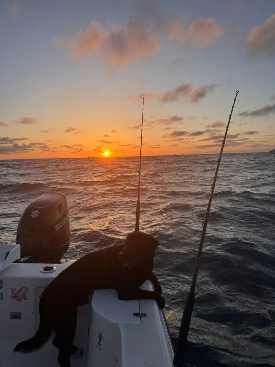 Sunset in May.jpeg