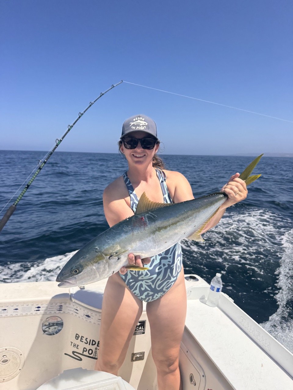July 15 2026 Yellowtail .jpeg