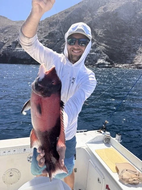 Sheepshead 8:23:26.jpeg
