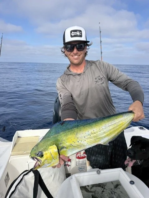 Dorado Sept 2026.jpeg