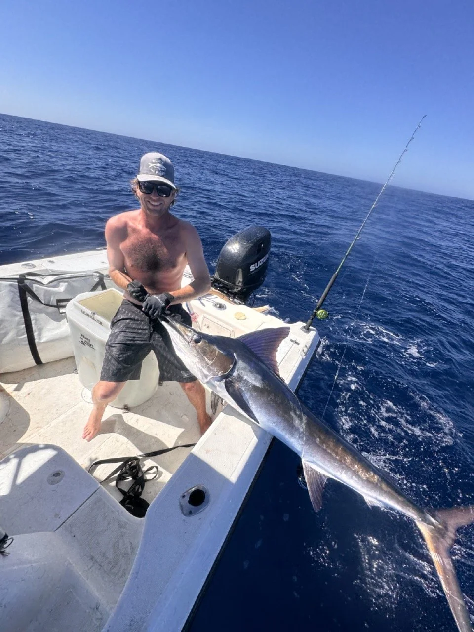 Striped Marlin 9-26-26.jpeg
