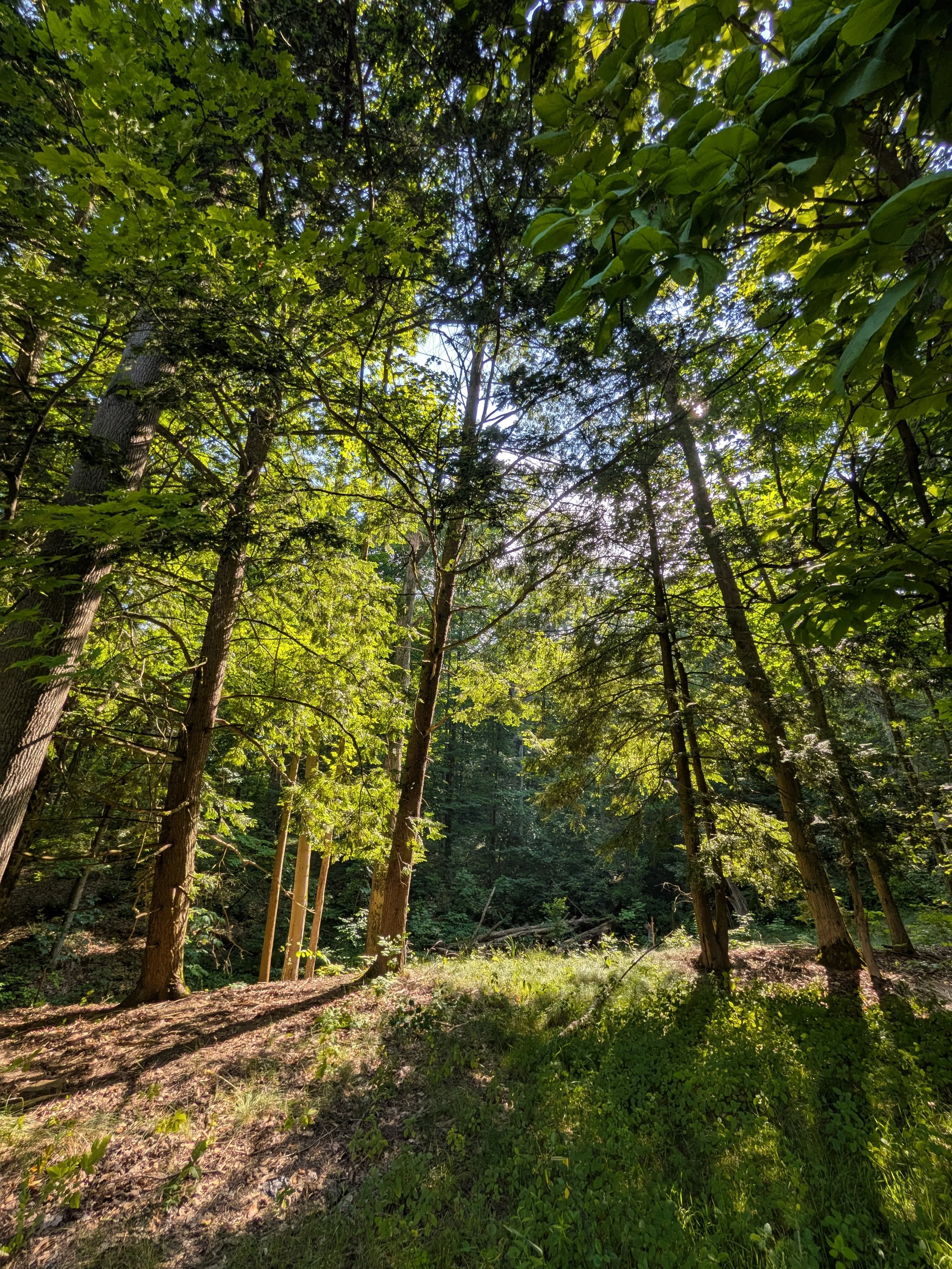 Wilderness Education Resources