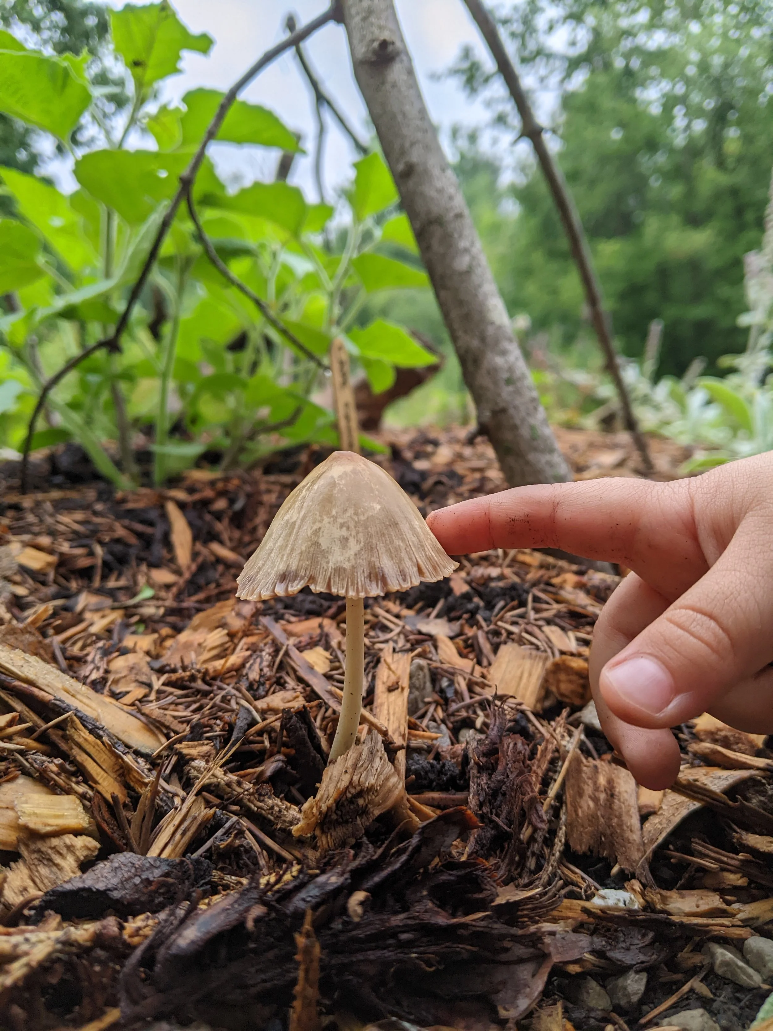 Alternative Education